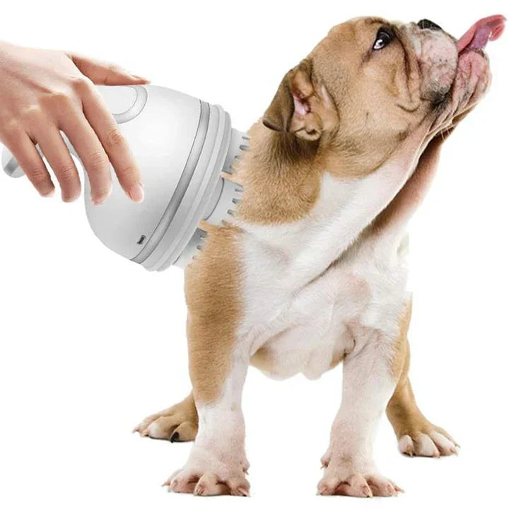 Electric Massager For Pets