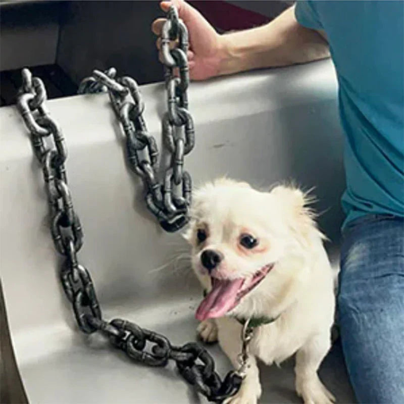 Stylish And Fun Dog Lead