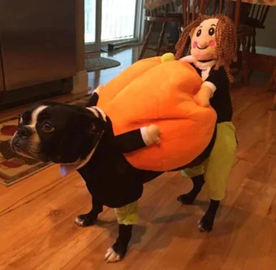 Fun Pumpkin Halloween Costume For Dogs
