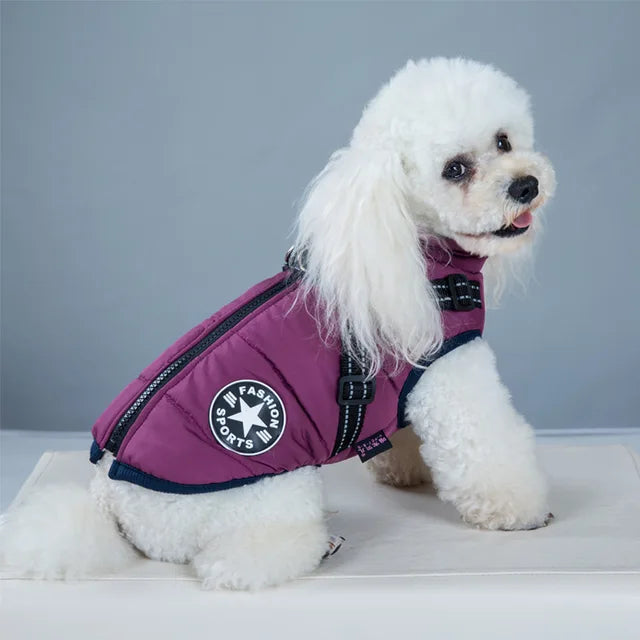 Wind and Waterproof Dog Jacket with Integrated Harness