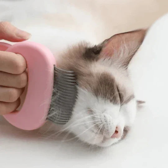 Gentle Massage And Grooming Brush For Cats