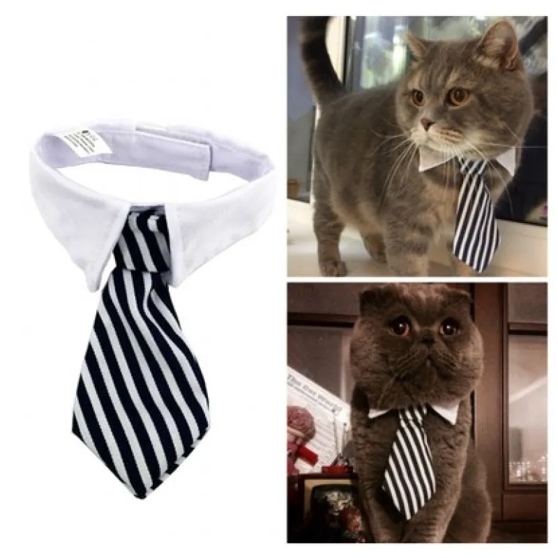 Elegant Pet Collar With Tie For Dogs And Cats