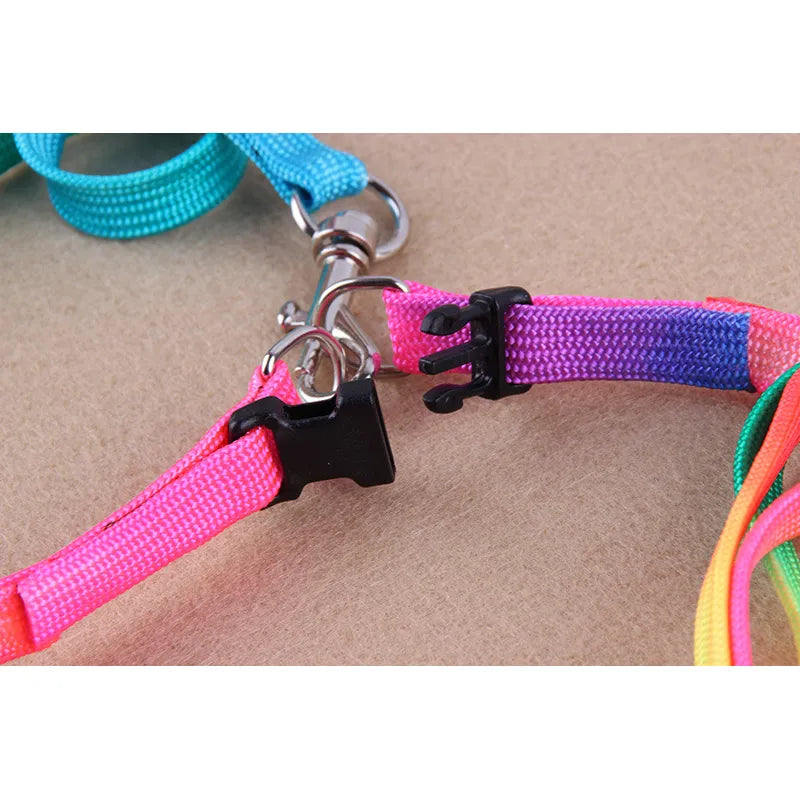 Coloured Dog Harness With Lead - Adjustable Set For Dogs In Rainbow Colours