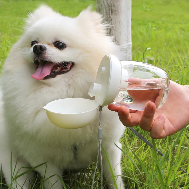Drinking Bottle For Dogs - Portable Water Bottle With Spout Mechanism