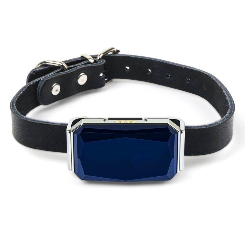 Gps Pet Tracker - Rechargeable Tracking Device For Dogs With Collar And Usb Cable