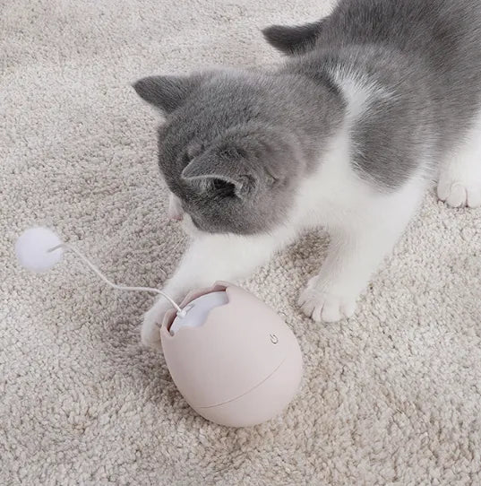 Interactive Cat Toy In Egg Shape - Toy With Moving Ball For Cats