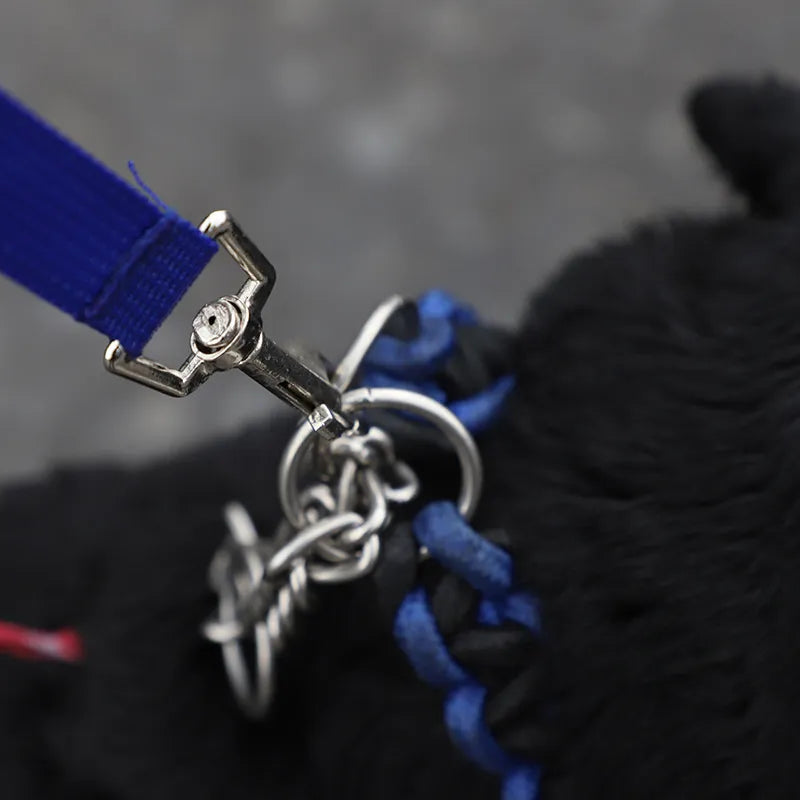 Dog Leash With Water Container Foldable Bowl And Waste Bags