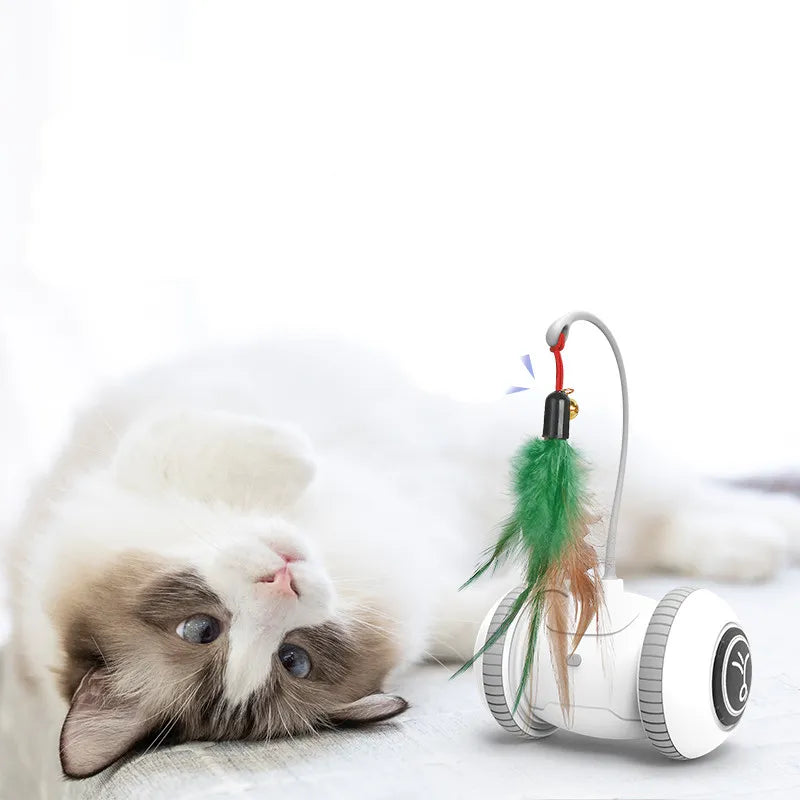 Interactive Cat Toy With Feather - Robot Toy For Cats