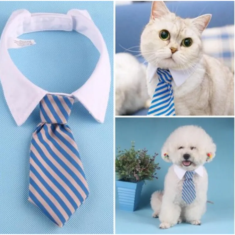 Elegant Pet Collar With Tie For Dogs And Cats