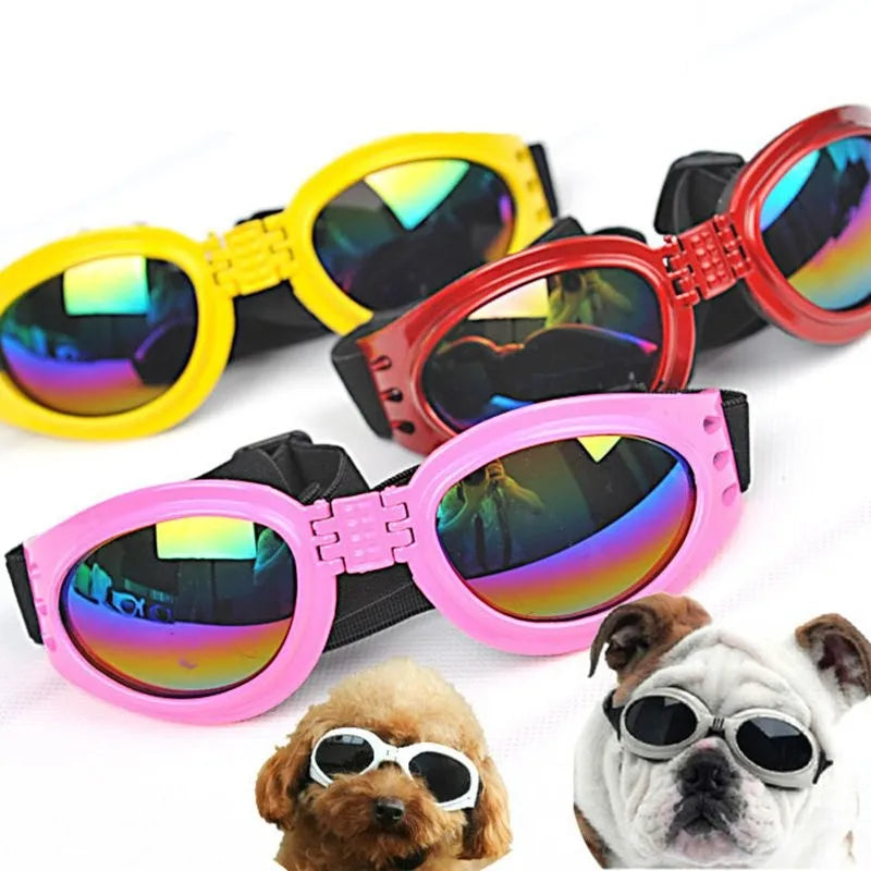 Dog Goggles Uv Protective Goggles In 7 Colours For Dogs
