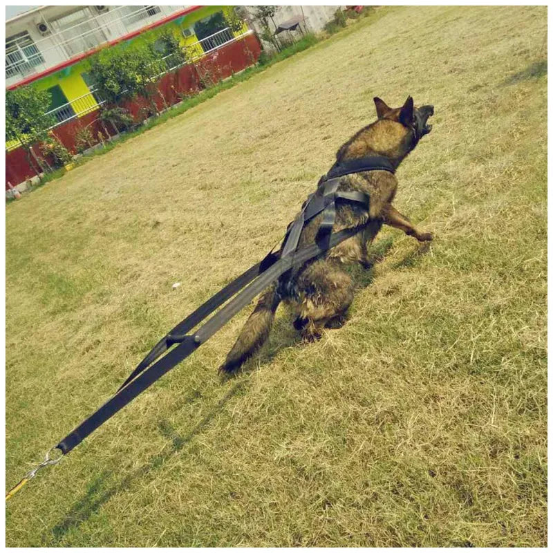 Dog Training Harness with Pull Handles and Tyres - Robust and Adjustable