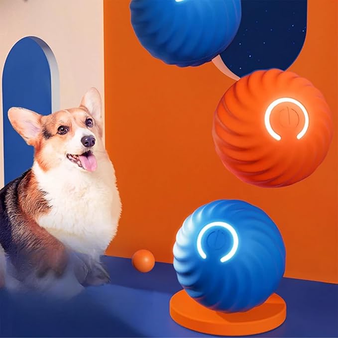 Interactive Bouncy Ball for Dogs