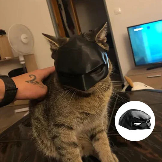 Heroic Cat Mask For Unique Appearances