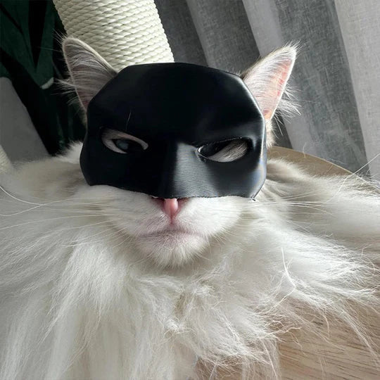 Heroic Cat Mask For Unique Appearances