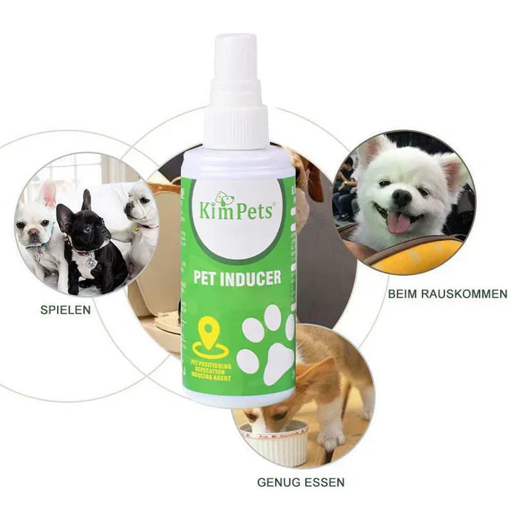 Instructions For The Targeted Placement Of The Pet Toilet