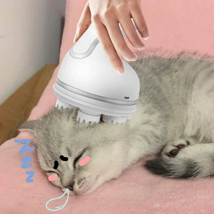 Electric Massager For Pets