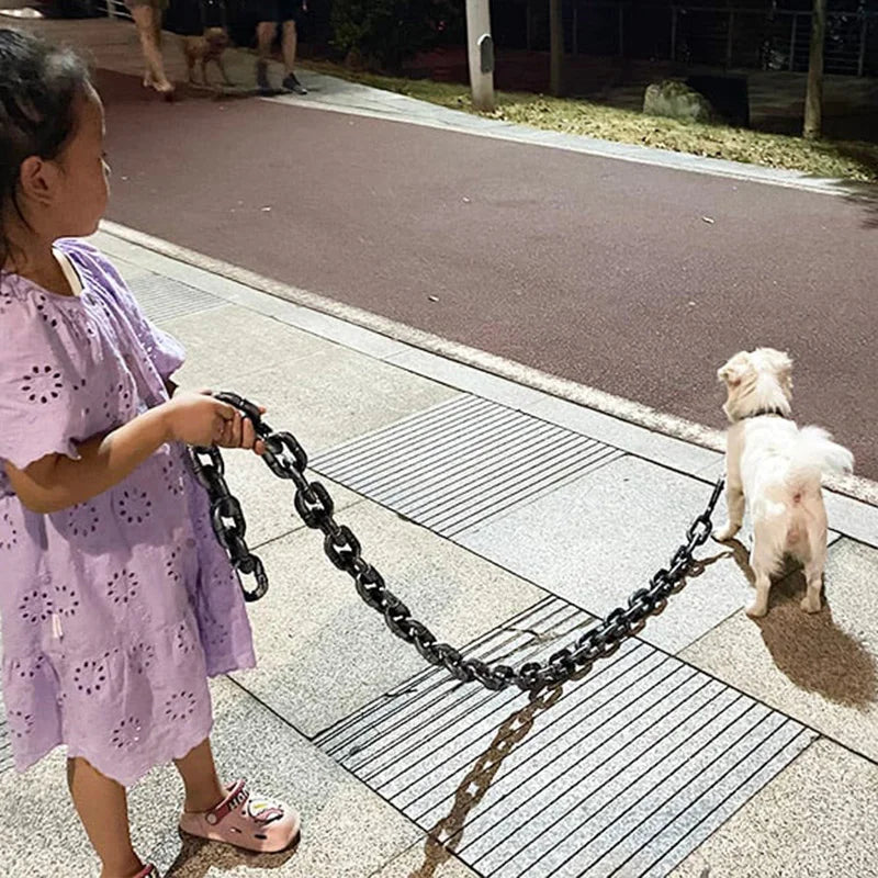 Stylish And Fun Dog Lead