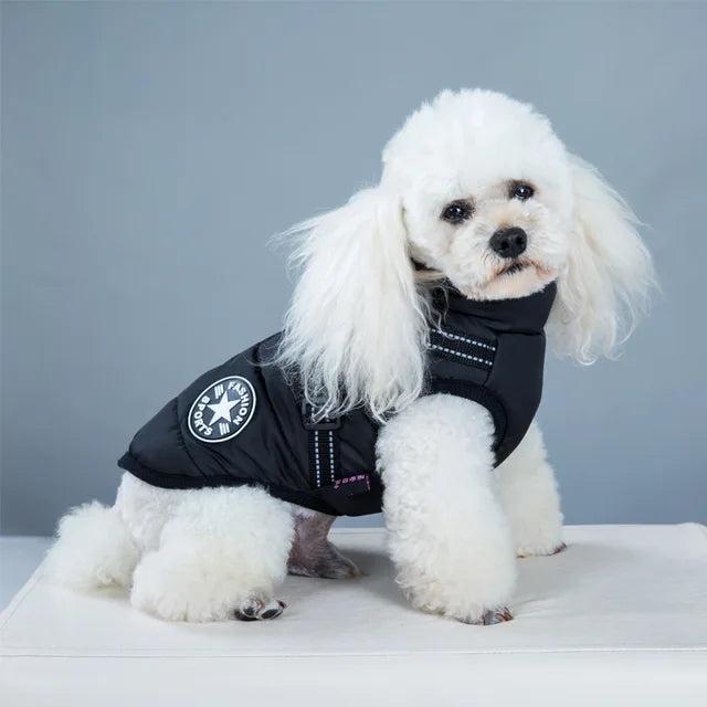 Wind and Waterproof Dog Jacket with Integrated Harness