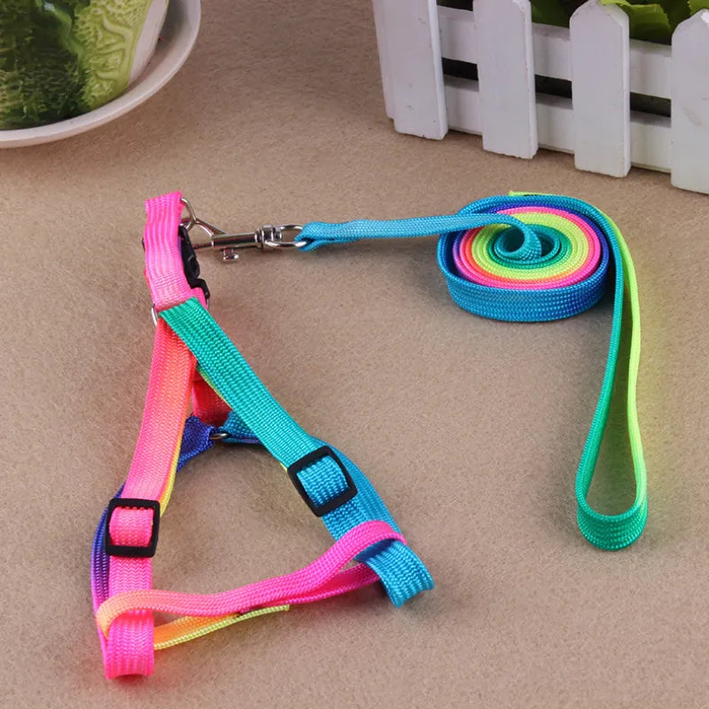 Coloured Dog Harness With Lead - Adjustable Set For Dogs In Rainbow Colours