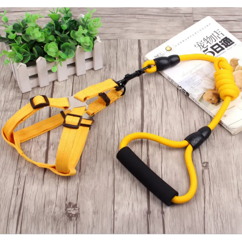Adjustable Dog Harness With Lead In 5 Colours
