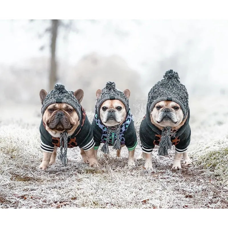 Stylish Dog Hat With Bobble - Warm Winter Hat For Small Dogs