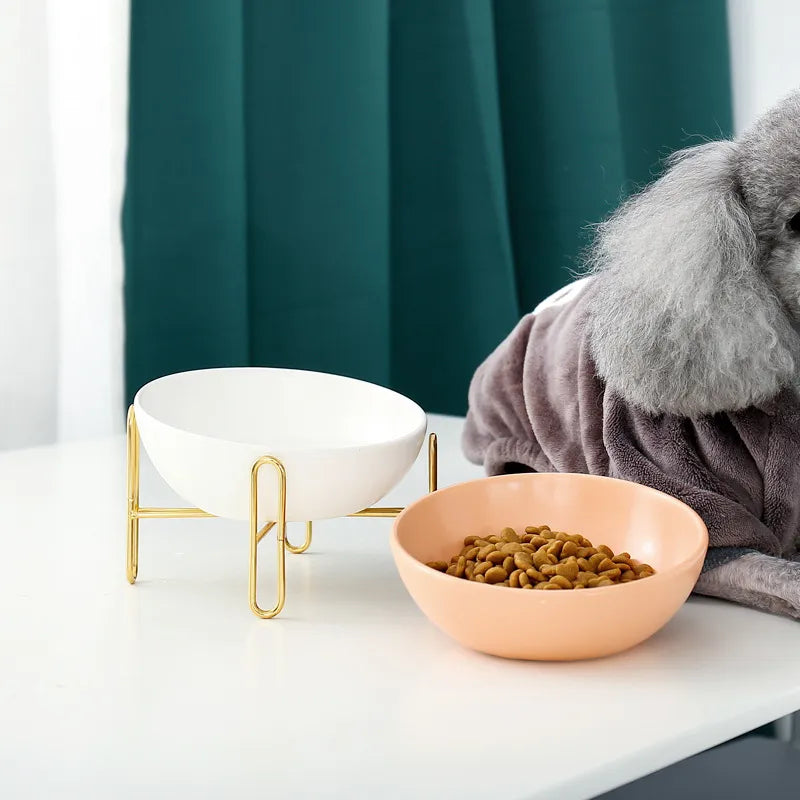 Raised Food Bowl For Dogs And Cats - Stylish Design With Metal Stand