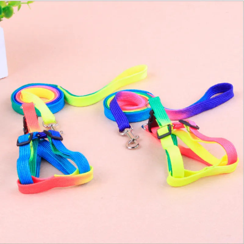 Coloured Dog Harness With Lead - Adjustable Set For Dogs In Rainbow Colours