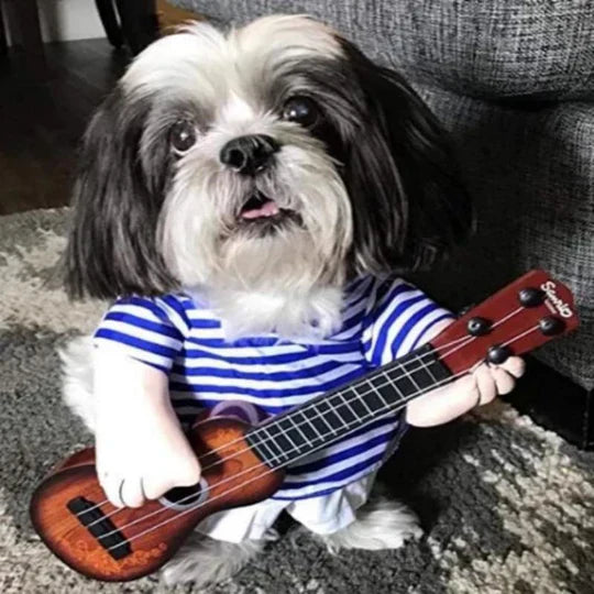 Creative Disguises For Pets