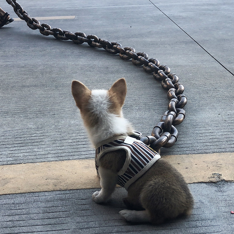 Stylish And Fun Dog Lead