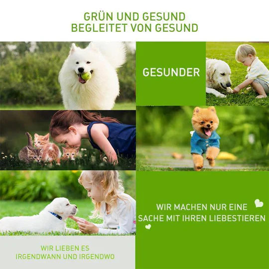 Ear Care Powder For Pets