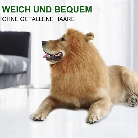 Lion 's Mane Dog Costume