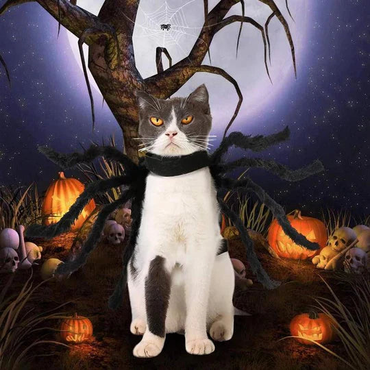 Creepy Spider Costume For Pets