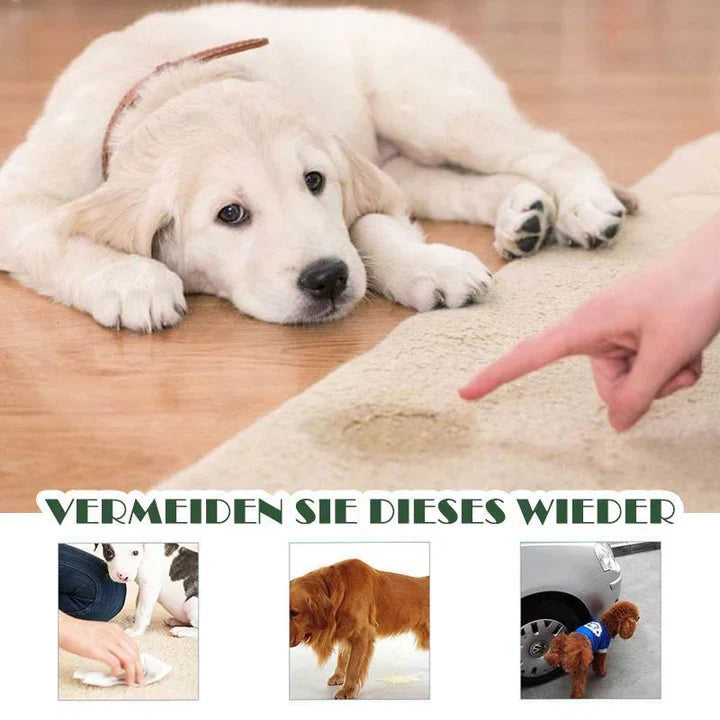 Instructions For The Targeted Placement Of The Pet Toilet