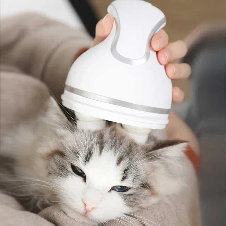 Electric Massager For Pets