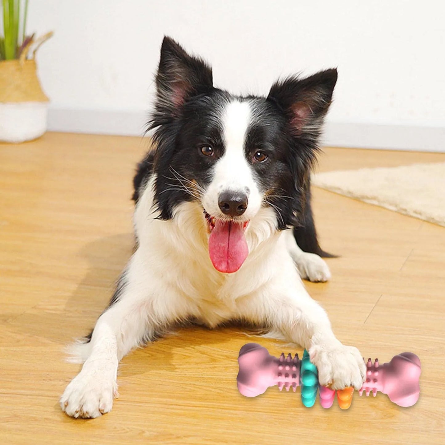Dog Chew Toy With Teethers - Interactive Chew Toy For Dogs