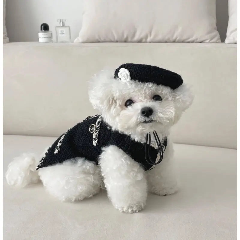 Elegant Dog Collar With Chic Little Hat And Flower Appliqué - Fashionable Design For Your Four - Legged Friend
