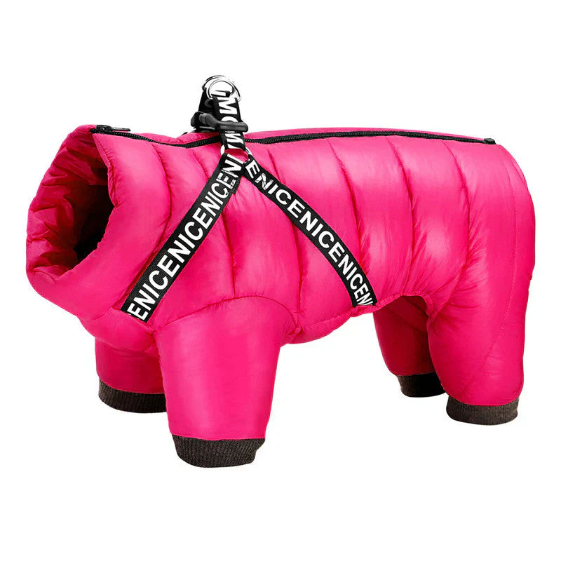 Dog Winter Coat For Cold Days