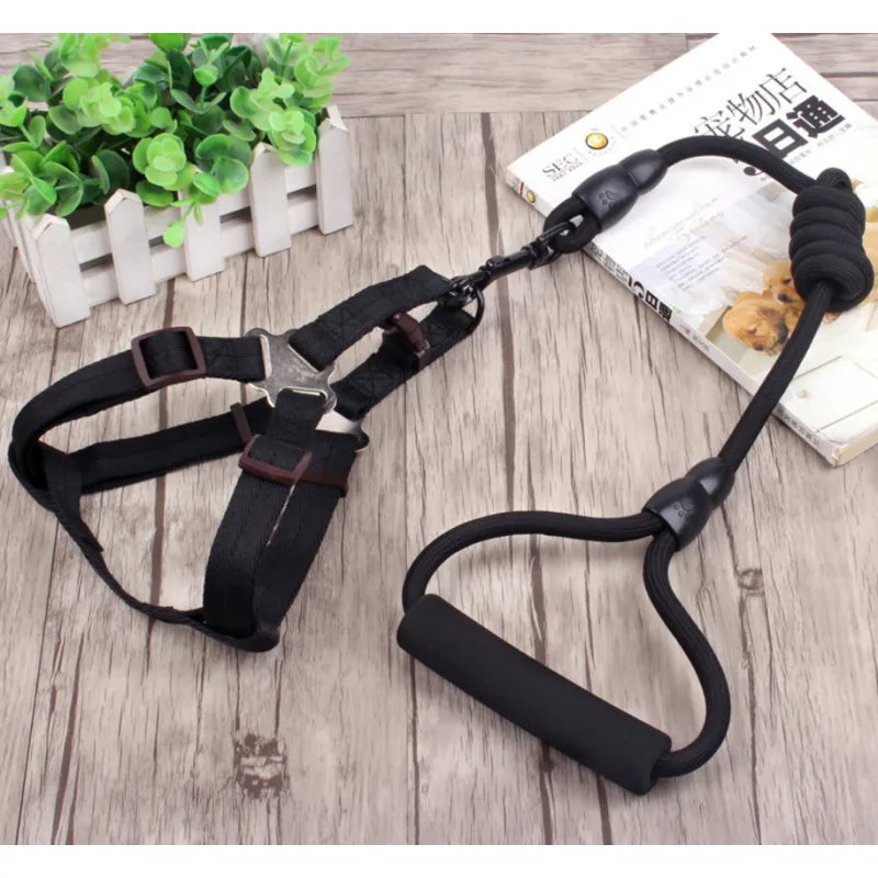 Adjustable Dog Harness With Lead In 5 Colours