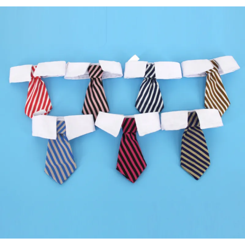 Elegant Pet Collar With Tie For Dogs And Cats