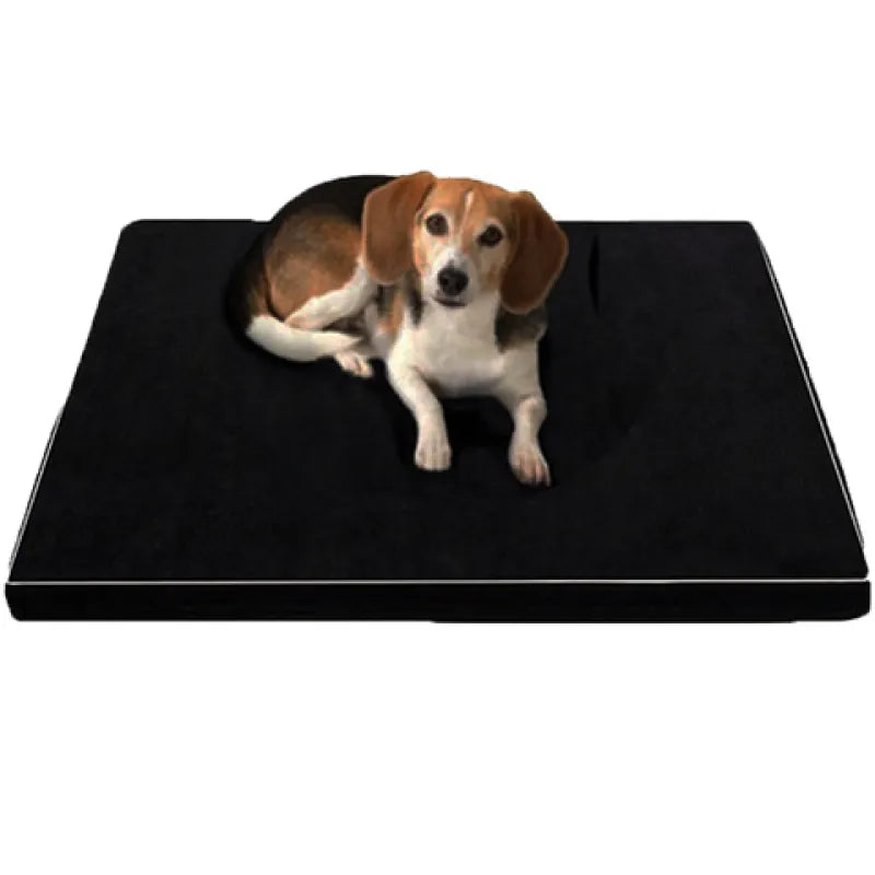 Dog Bed with Non - Slip Underside for a Safe Sleeping Area