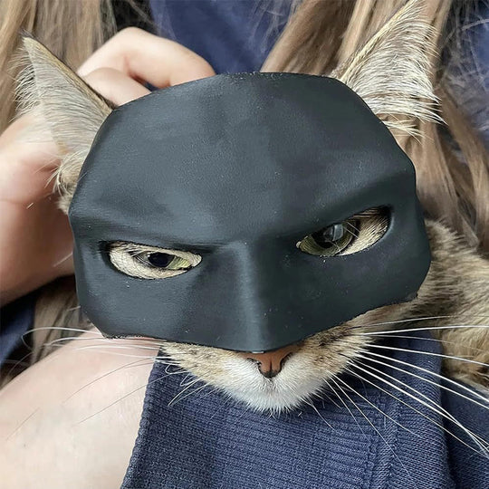 Heroic Cat Mask For Unique Appearances