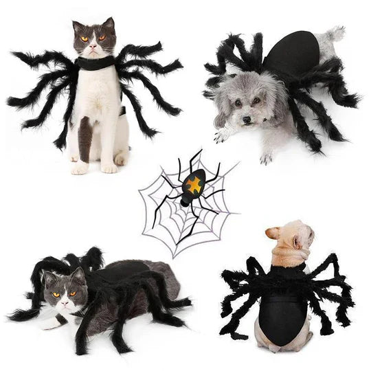 Creepy Spider Costume For Pets
