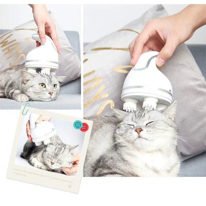 Electric Massager For Pets