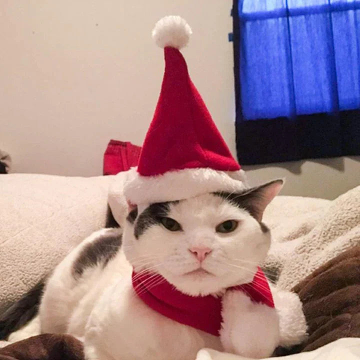 Christmas Cat Costume Set