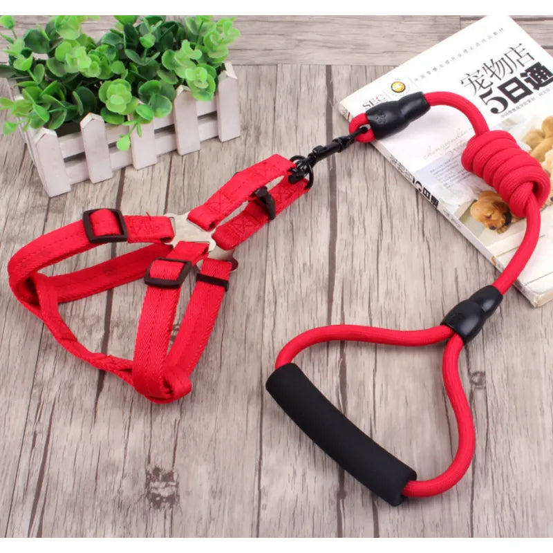 Adjustable Dog Harness With Lead In 5 Colours