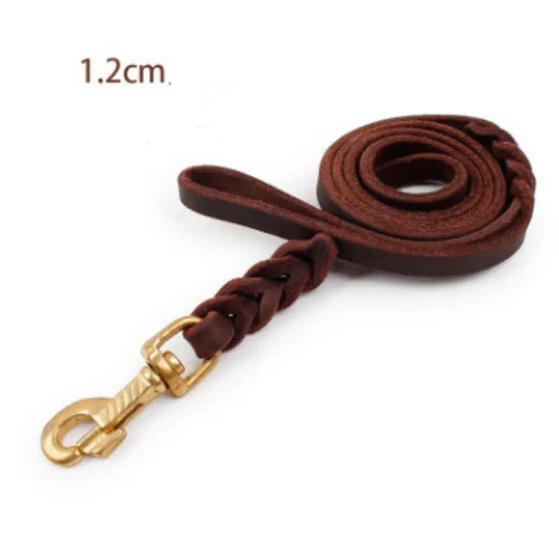 Leather Dog Lead With Golden Carabiner - Robust And Elegant Dog Accessory