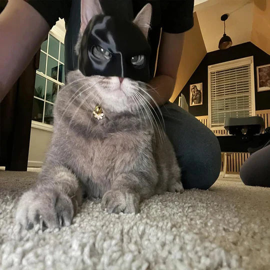 Heroic Cat Mask For Unique Appearances