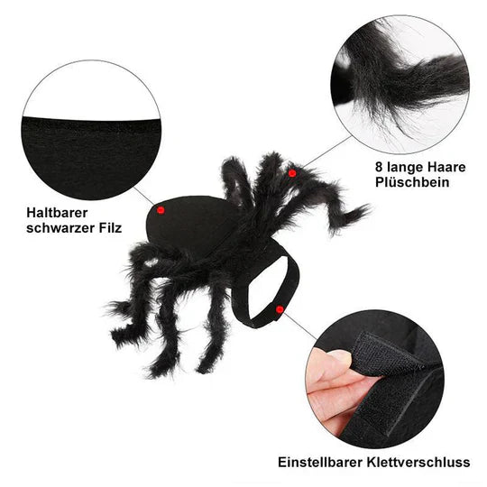 Creepy Spider Costume For Pets