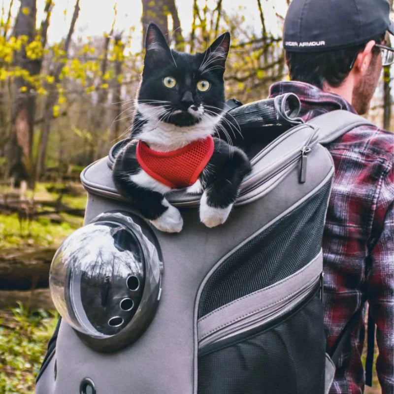 Cat Transport Bag