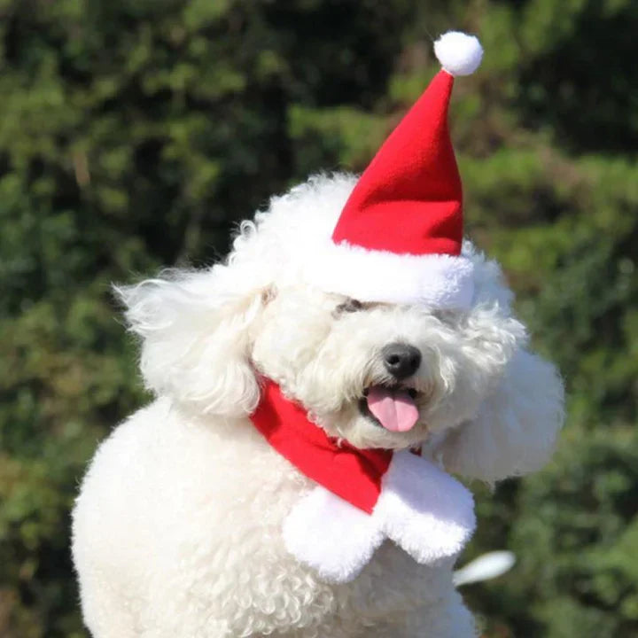 Christmas Cat Costume Set
